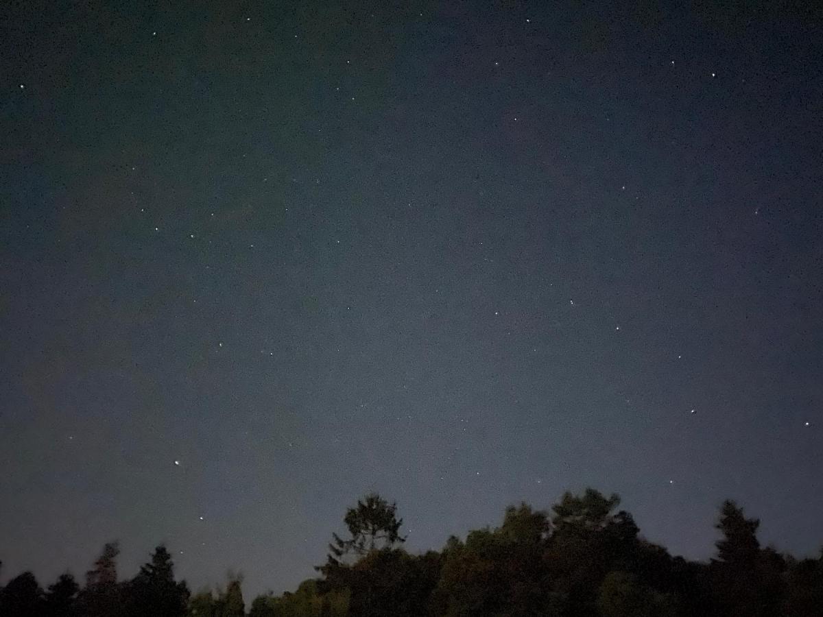Apartman Na Kraji Lesa Všemina Exterior foto